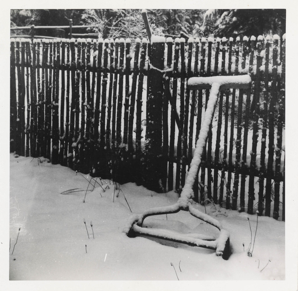Winterizing a Lawn Mower: The Steps That Save a Spring Repair Bill